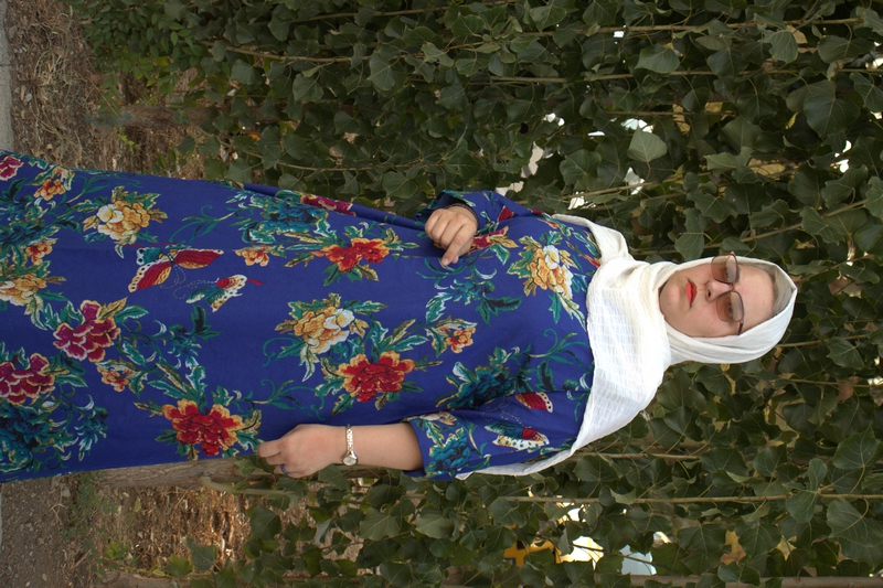 ساحلی لینن 307